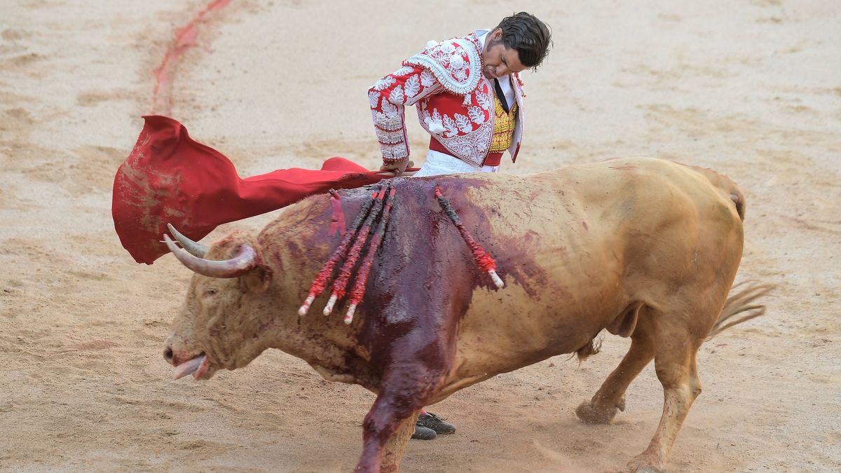 Fotky krvavé euforie: Španělé si znovu poměřují svaly s býky